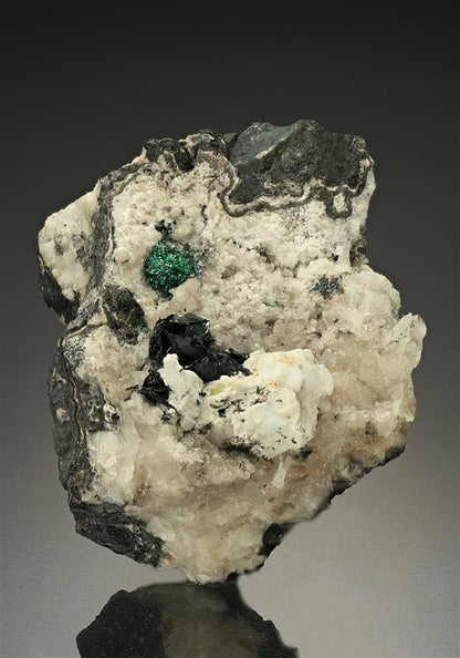 CC18161 specimen image