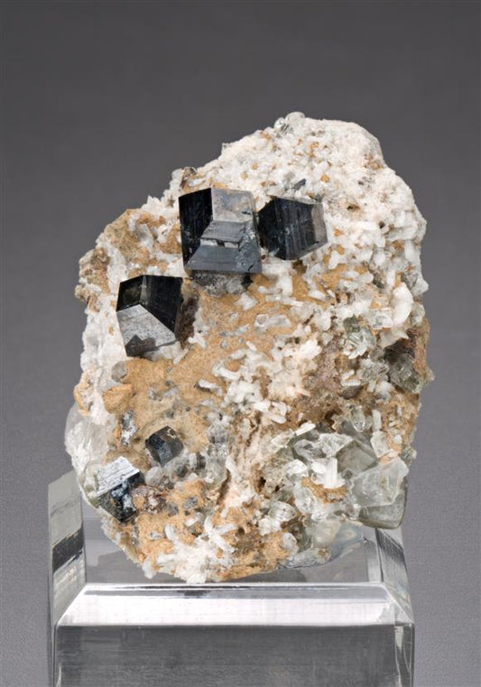 CC18185 specimen image