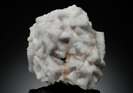 CC18198 specimen image
