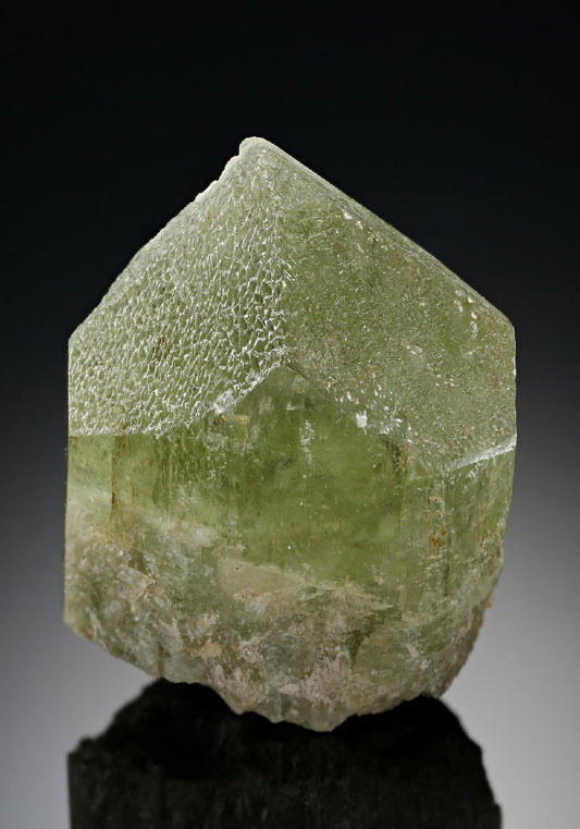 CC18213 specimen image