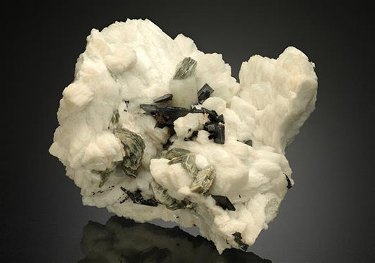 CC18221 specimen image