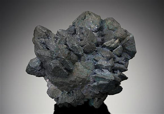 CC18235 specimen image