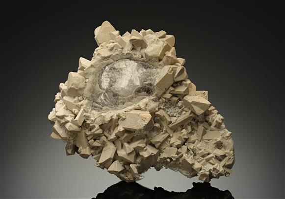 CC18245 specimen image