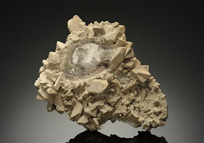 CC18245 specimen image