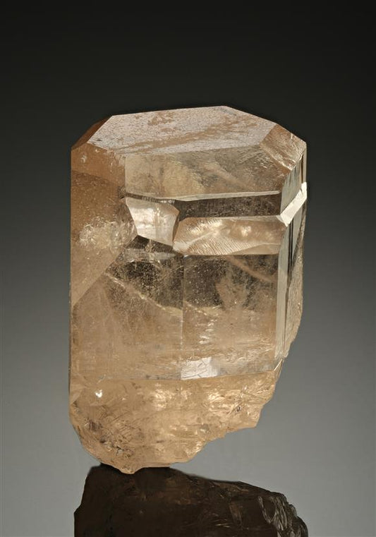 CC18251 specimen image