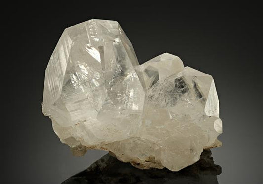 CC18256 specimen image