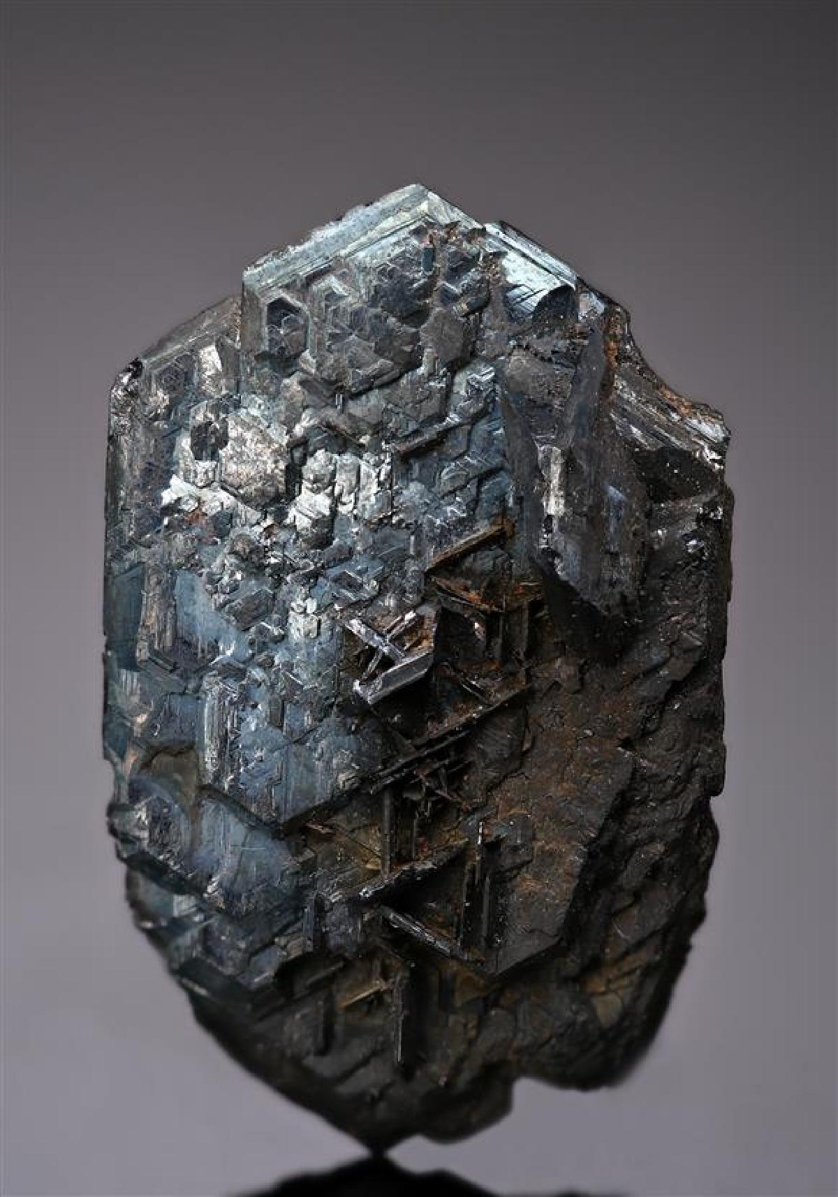 CC18270 specimen image