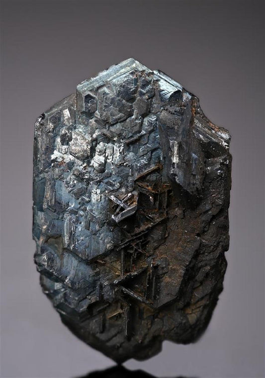 CC18270 specimen image