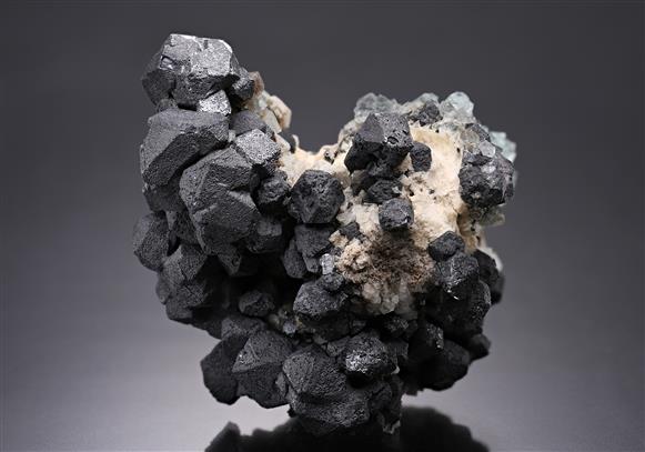CC18287 specimen image