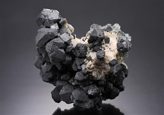 CC18287 specimen image
