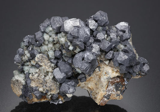 CC18288 specimen image
