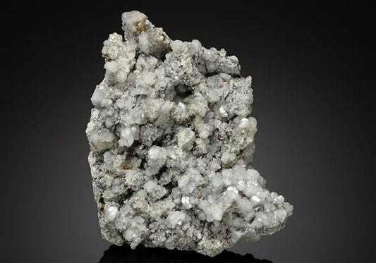 CC18296 specimen image