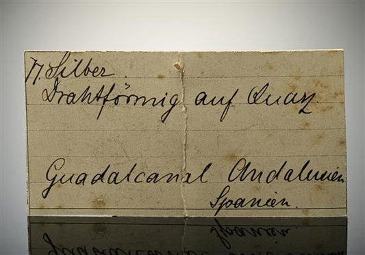 CC18299 specimen image