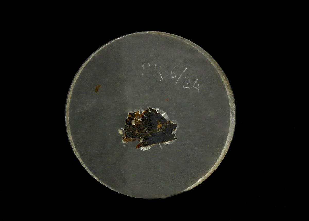 CC18305 specimen image