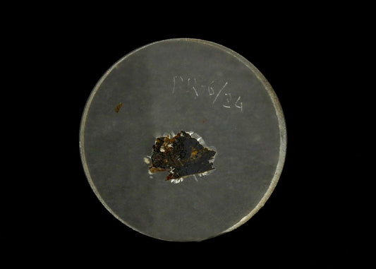 CC18305 specimen image