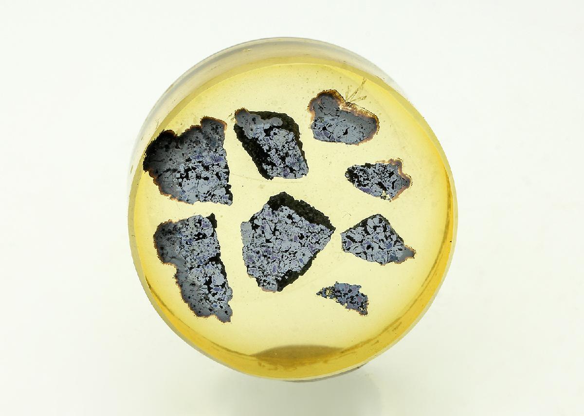 CC18331 specimen image