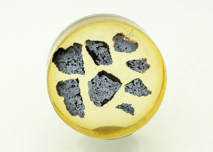 CC18331 specimen image