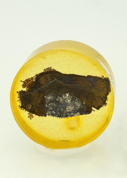 CC18332 specimen image