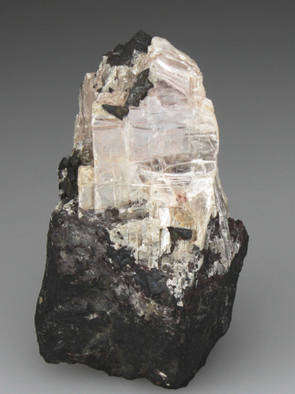 CC1835 specimen image