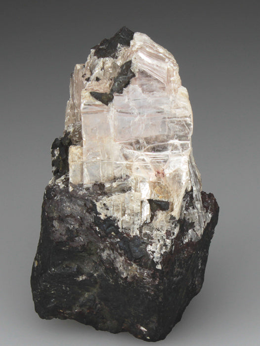 CC1835 specimen image