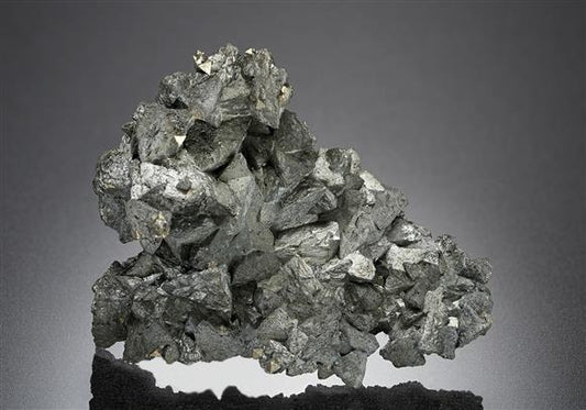 CC18385 specimen image