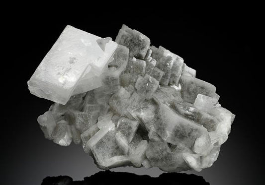 CC18407 specimen image