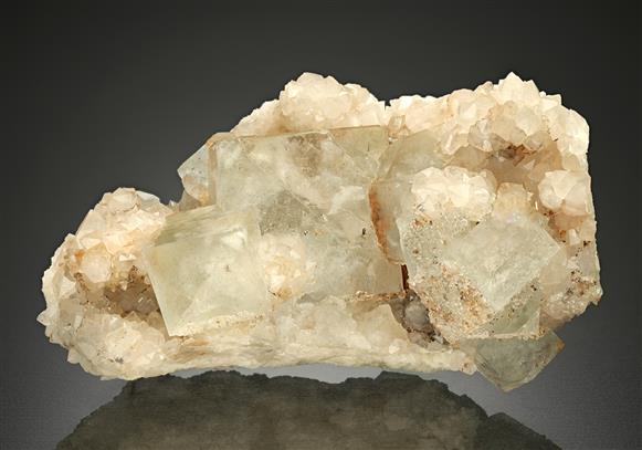 CC18539 specimen image