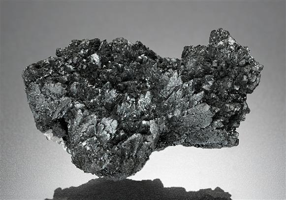 CC18580 specimen image