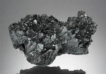 CC18580 specimen image