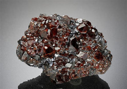CC18587 specimen image