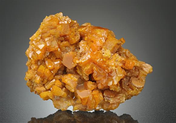 CC18589 specimen image