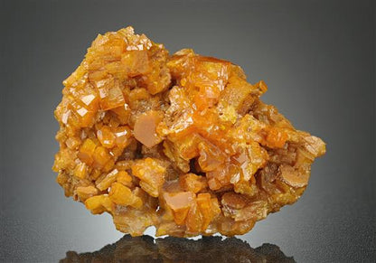 CC18589 specimen image