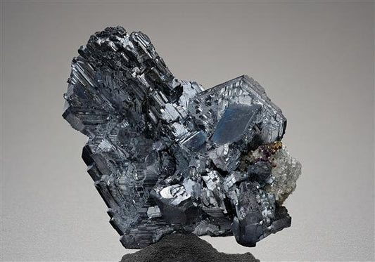 CC18617 specimen image