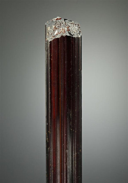 CC18625 specimen image