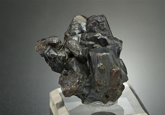 CC18626 specimen image
