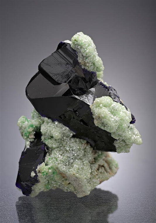 CC18633 specimen image