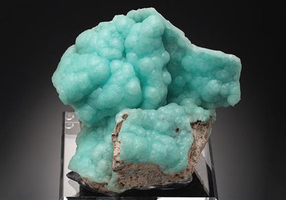 CC18670 specimen image