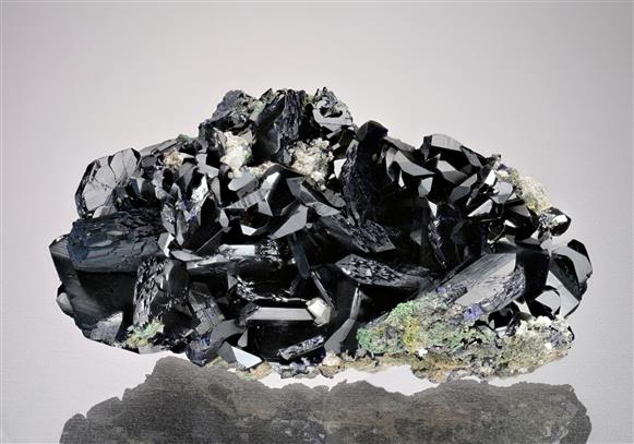 CC18683 specimen image