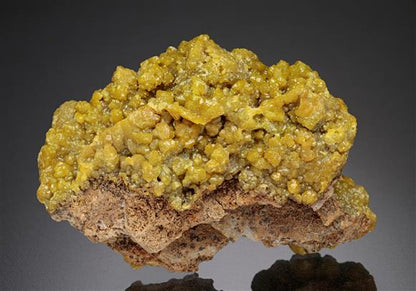 CC18685 specimen image