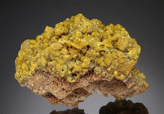 CC18685 specimen image