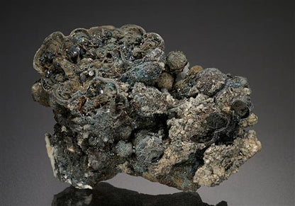 CC18686 specimen image