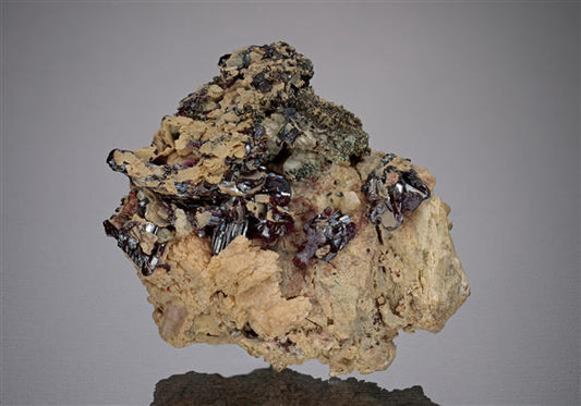 CC18687 specimen image