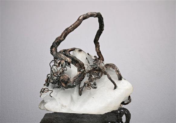 CC18690 specimen image