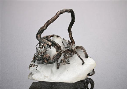 CC18690 specimen image