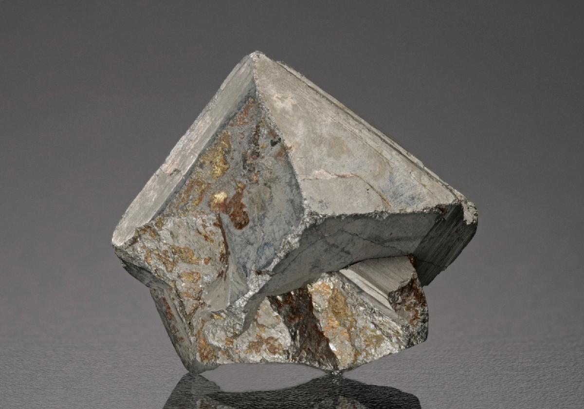CC18691 specimen image