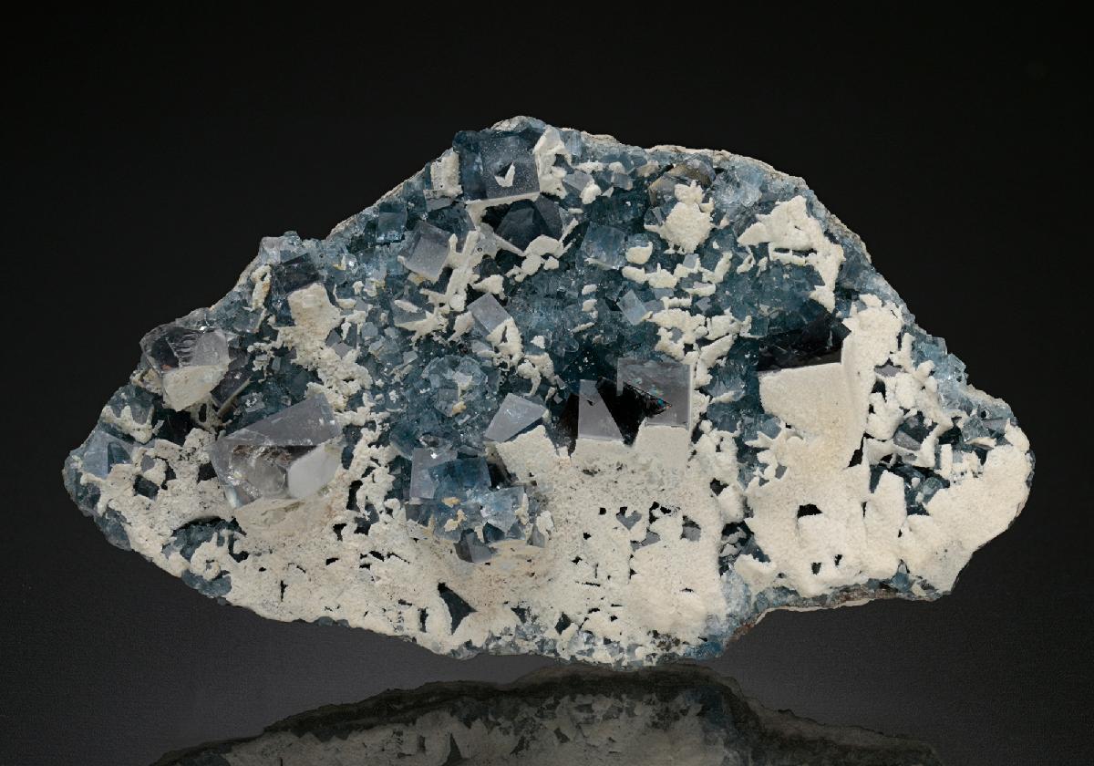 CC18695 specimen image