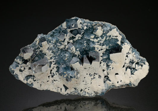 CC18695 specimen image