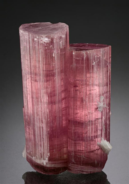 CC18702 specimen image