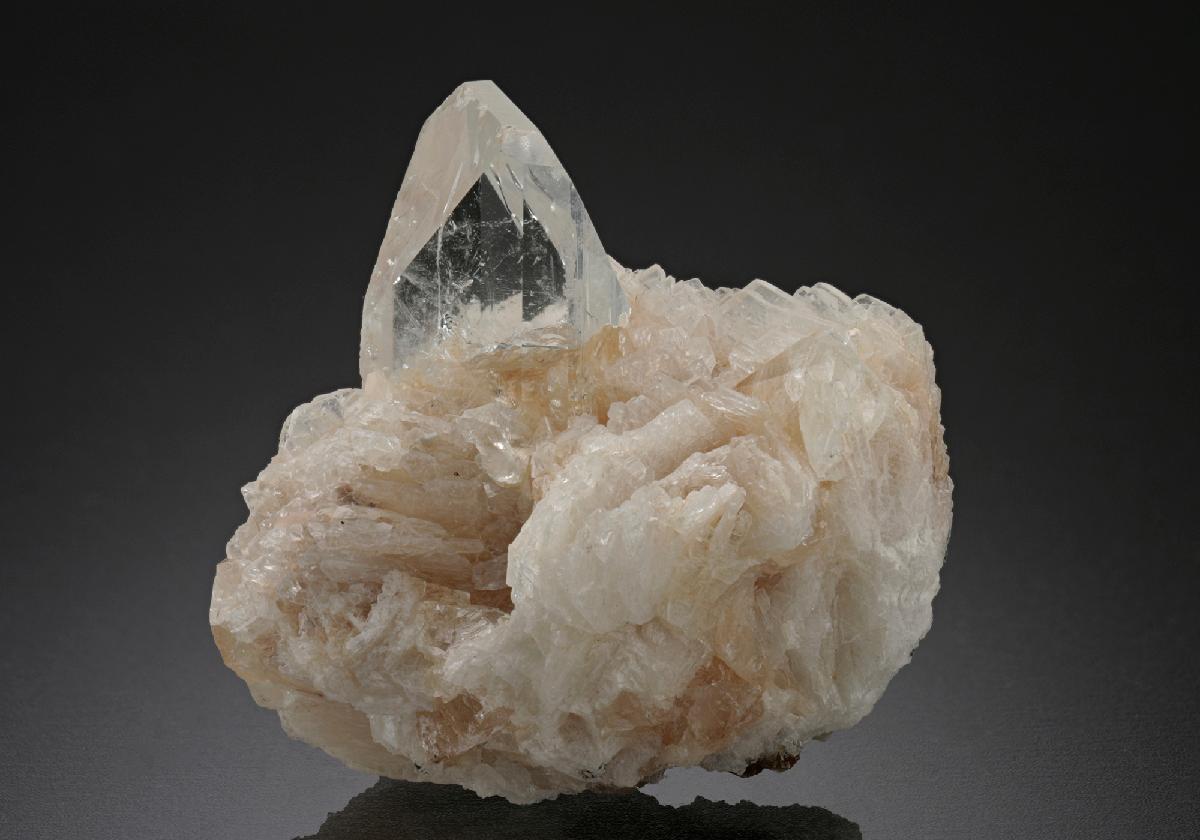 CC18703 specimen image