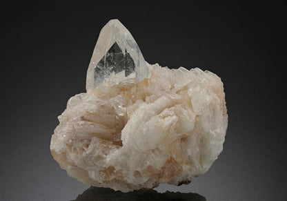CC18703 specimen image